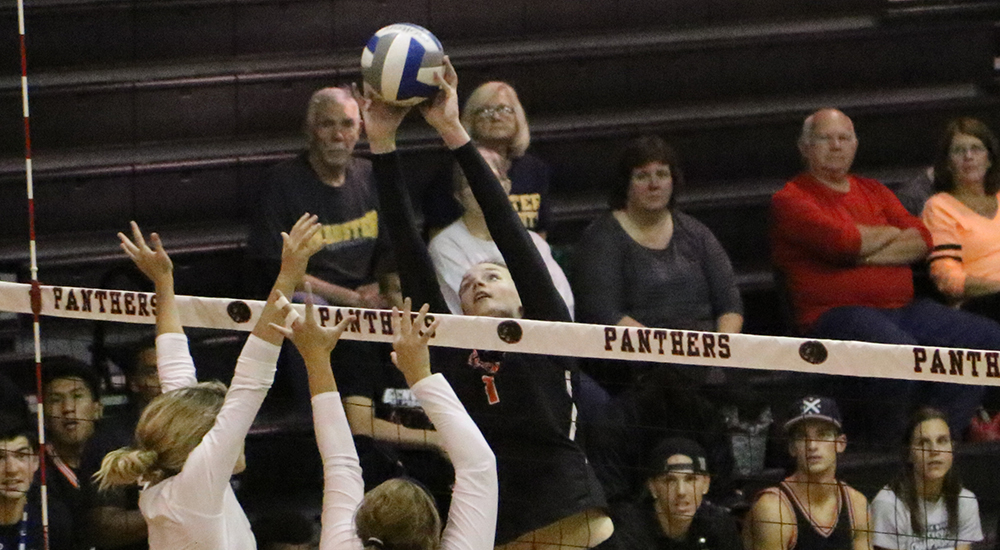 Women's volleyball set back by Webster