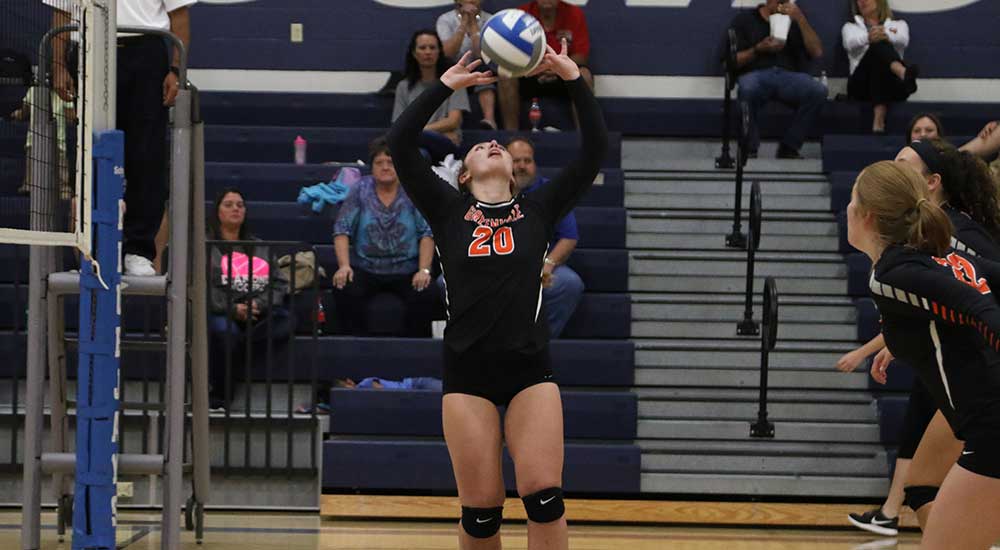Women's volleyball tripped up by  Westminster