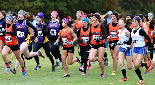 Women's cross country led by Kruse and Estes at SLIAC championships