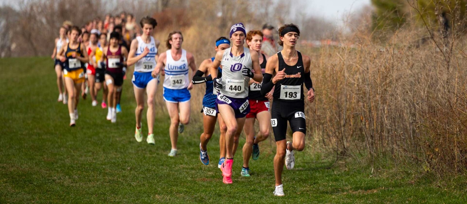 Men's cross country secures 15th at NCAA regionals